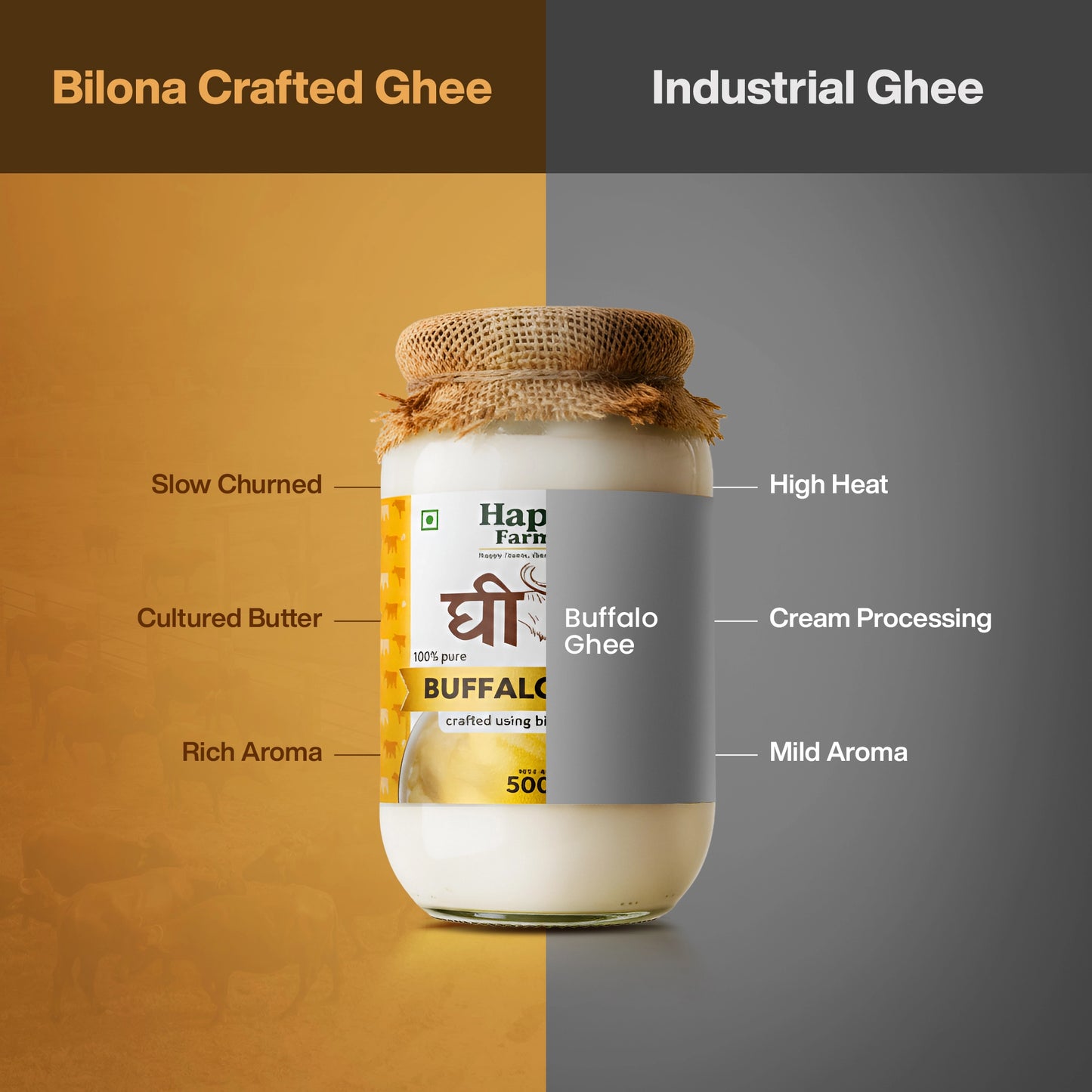 Buffalo Ghee
