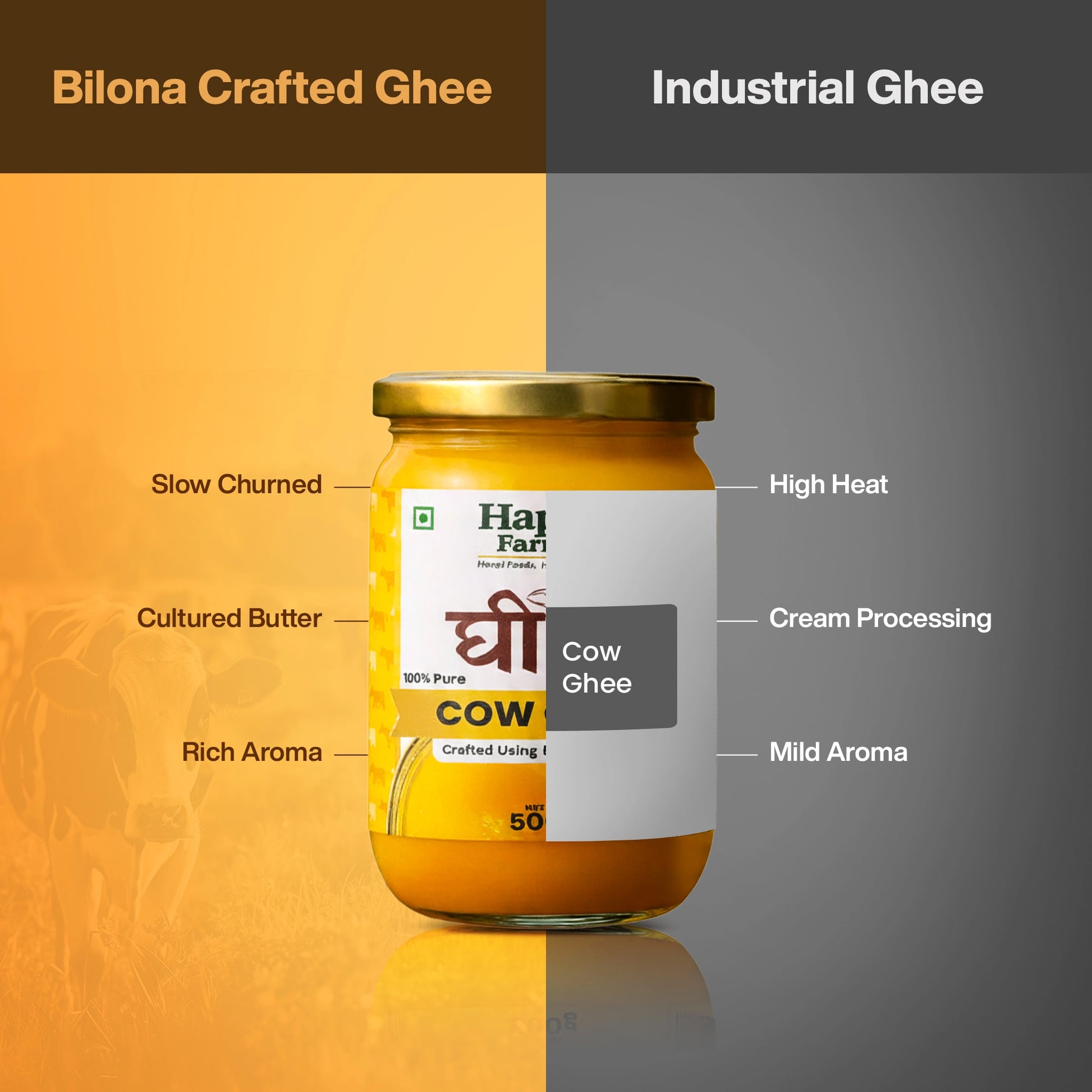 Cow Ghee